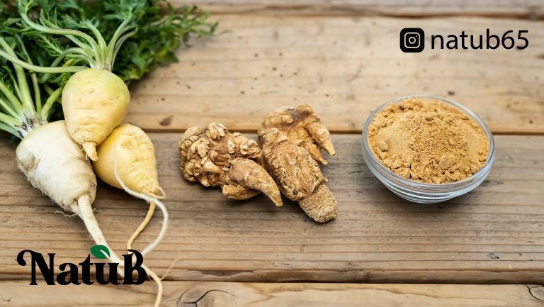 كبسولات عشبة ماكا مكمل غذائي طبيعي فياجرا طبيعية للرجال والنساء وفوائد مذهلة maca natub